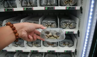 云顶集团(中国区)官方网站